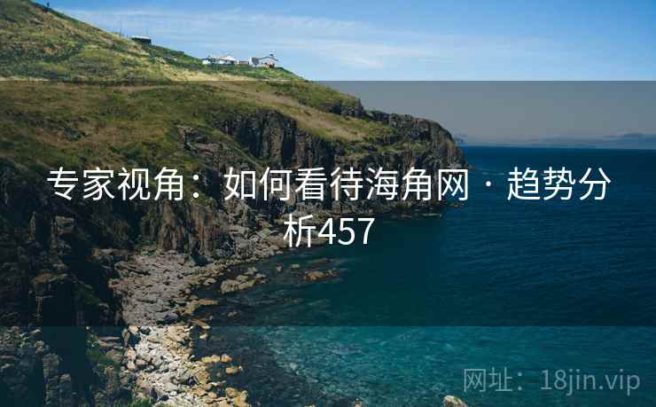 专家视角：如何看待海角网 · 趋势分析457