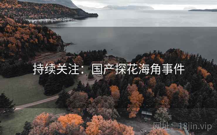持续关注:国产探花海角事件