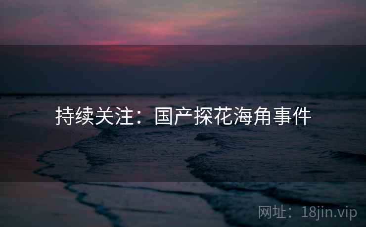 持续关注：国产探花海角事件