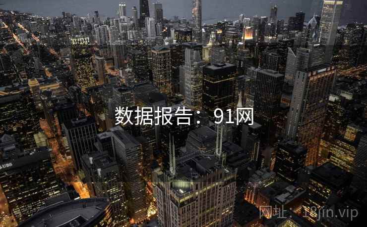数据报告：91网