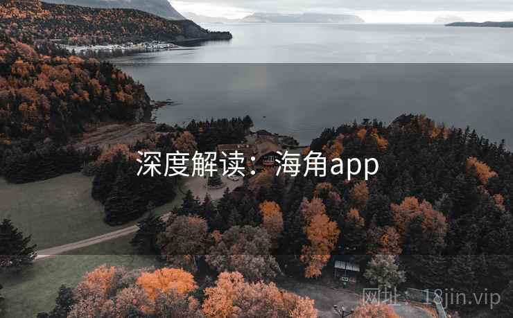 深度解读:海角app