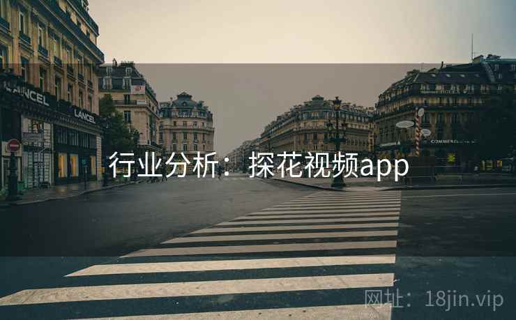 行业分析：探花视频app