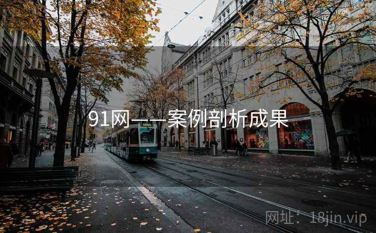91网——案例剖析成果